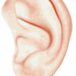 あれ耳がおかしいなぁと思ったら、突発性難聴と診断されました。